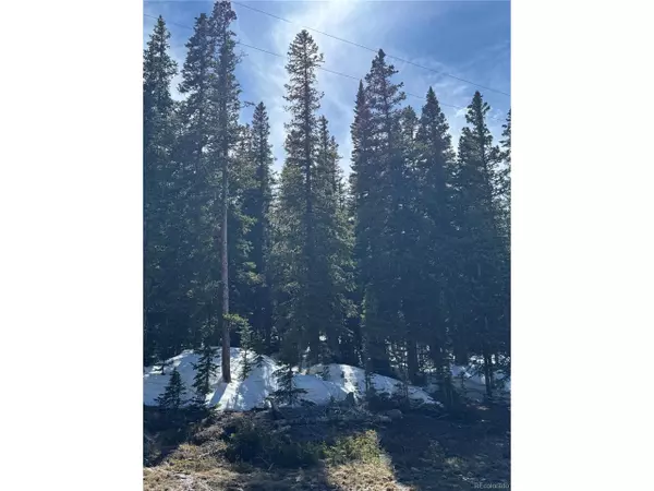 Fairplay, CO 80440,630 Silverheels Pl
