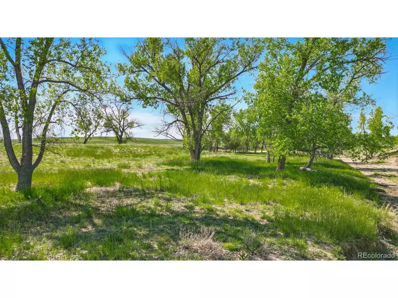Parcel C W County Road 105, Ramah, CO 80832