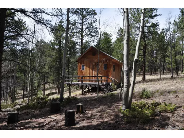 1181 E Bison Creek Trl, Divide, CO 80814