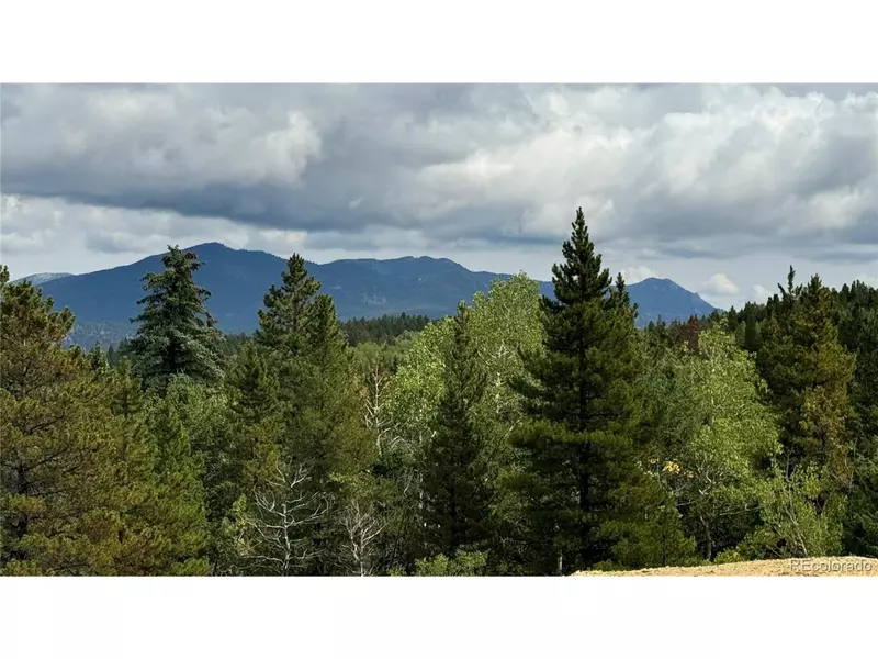 1 Pewabic Mine Rd, Central City, CO 80427