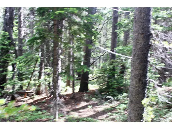 Idaho Springs, CO 80452,209 Upper Forest Rd