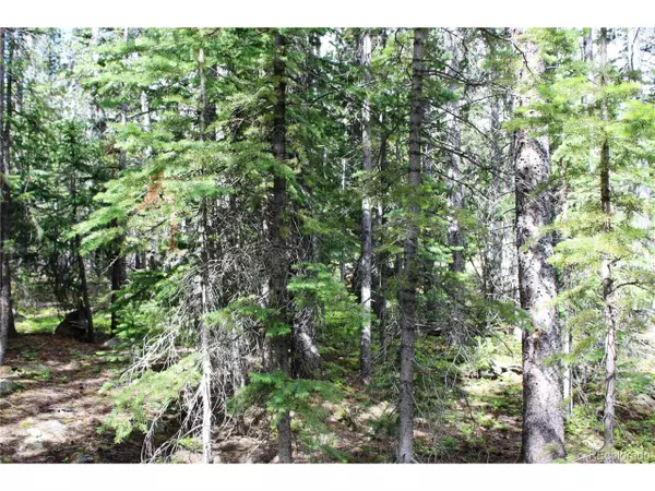 Idaho Springs, CO 80452,209 Upper Forest Rd