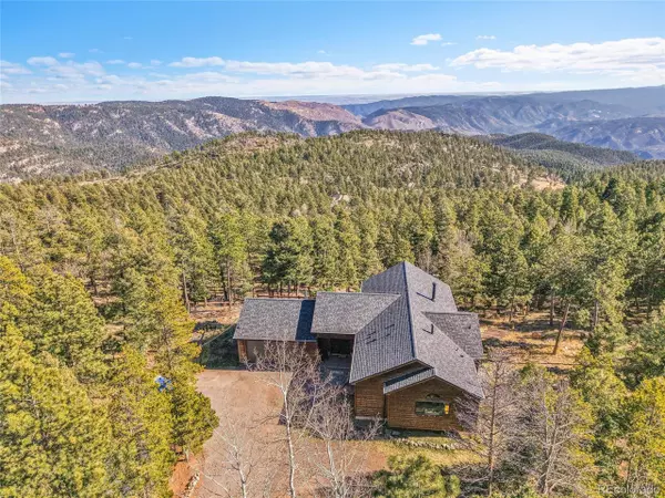13382 Riley Peak Rd, Conifer, CO 80433