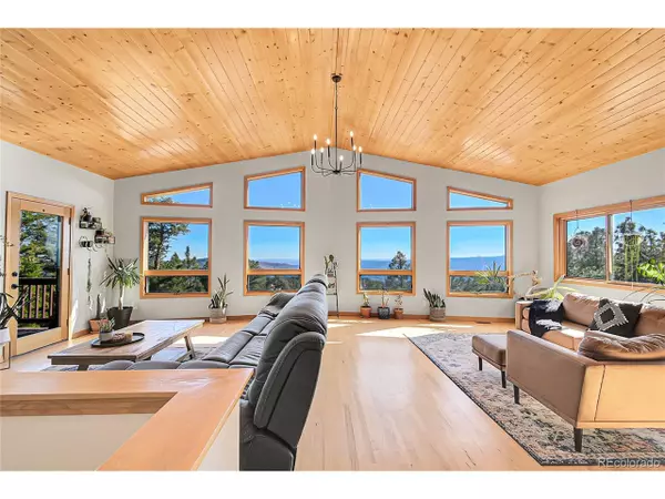 Conifer, CO 80433,13382 Riley Peak Rd