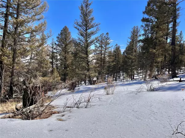 Fairplay, CO 80440,0 Middle Fork Vista LOT 358