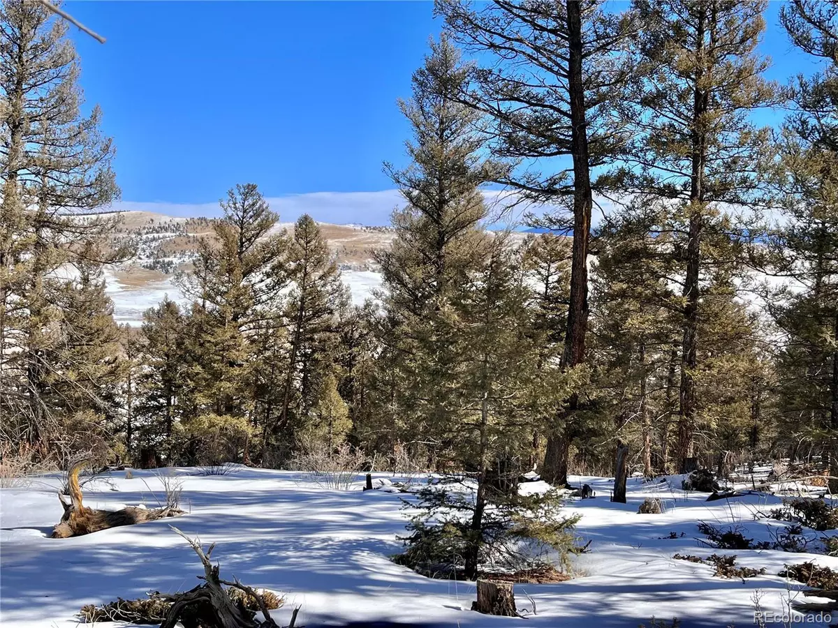 Fairplay, CO 80440,0 Middle Fork Vista LOT 358