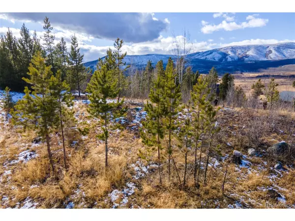 Grand Lake, CO 80447,114 GCR 4905