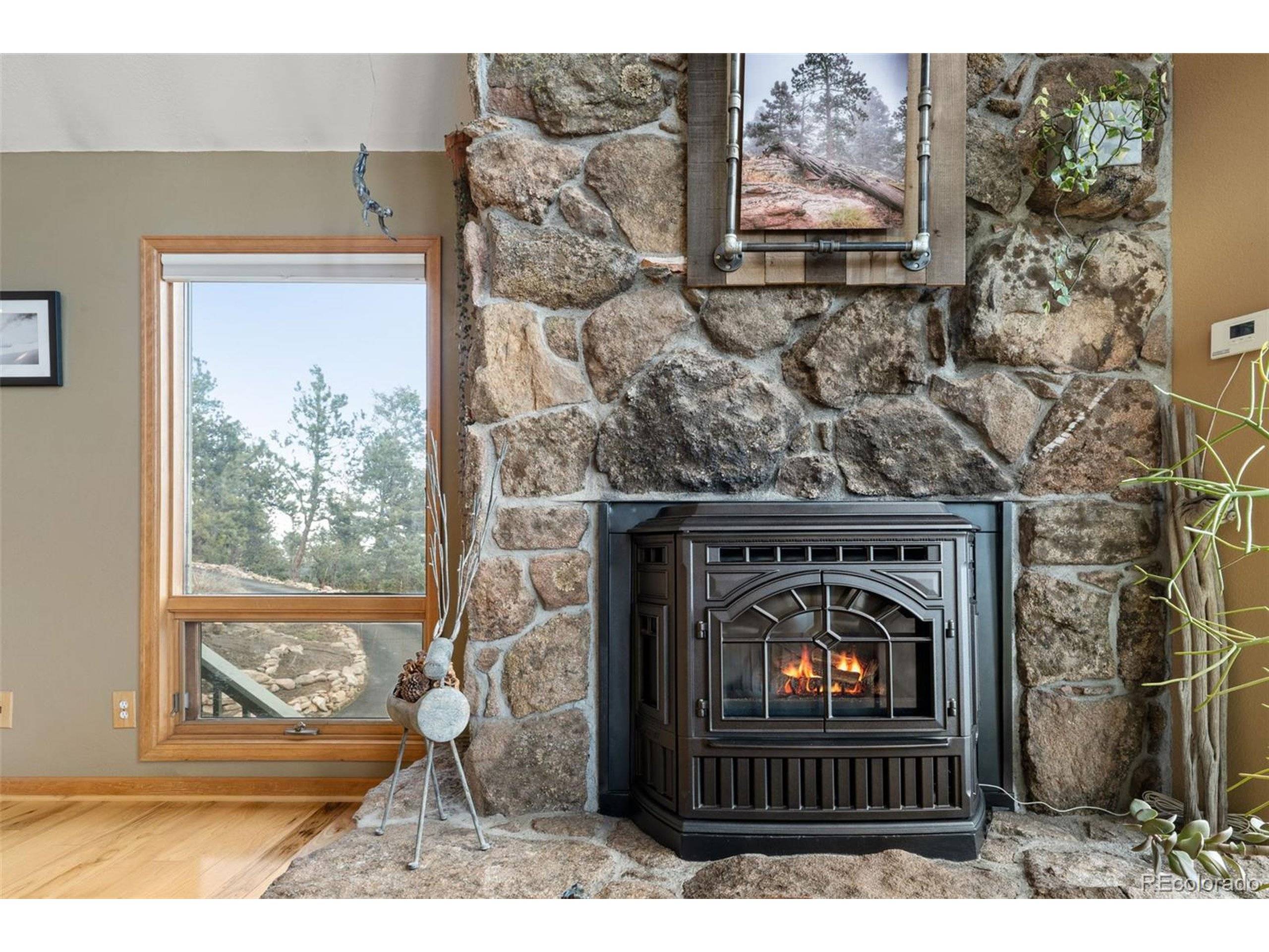 Conifer, CO 80433,13452 Riley Peak Rd