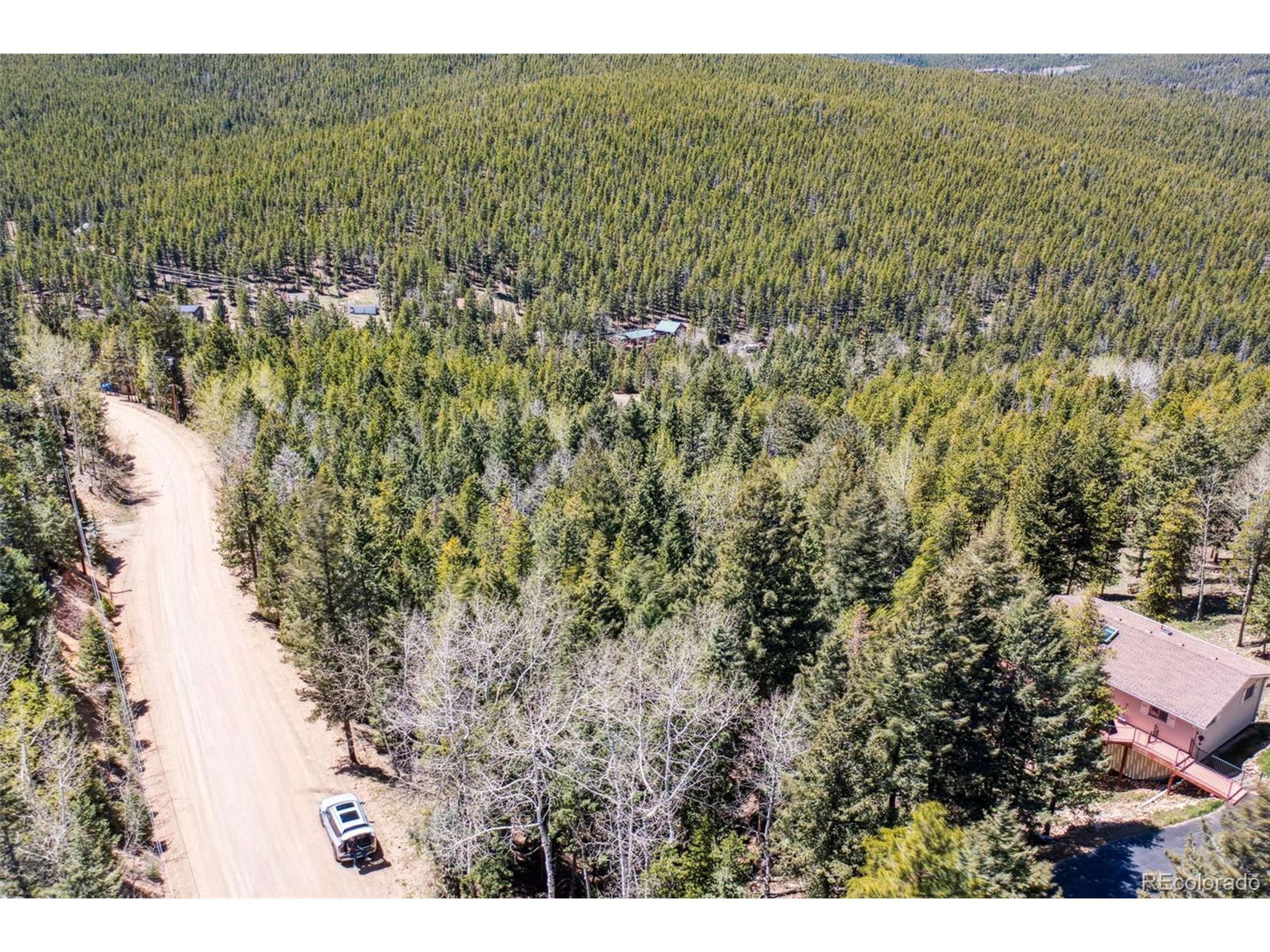 Conifer, CO 80433,8793 Martin Ln