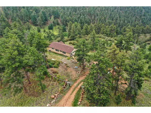 771 Moffat Dr, Cripple Creek, CO 80813