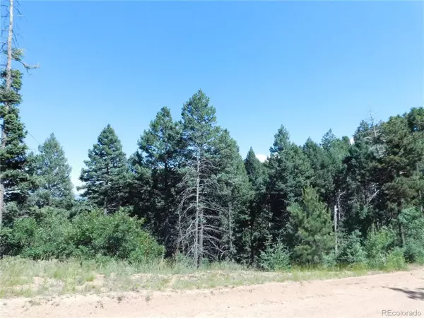 Larkspur, CO 80118,13670 Spruce Creek Cir