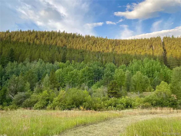 7 Apex Valley Rd, Black Hawk, CO 80422