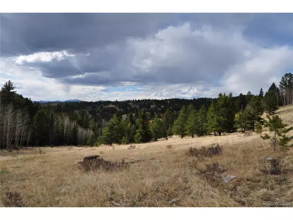 Cripple Creek, CO 80813,287 Derby Dr