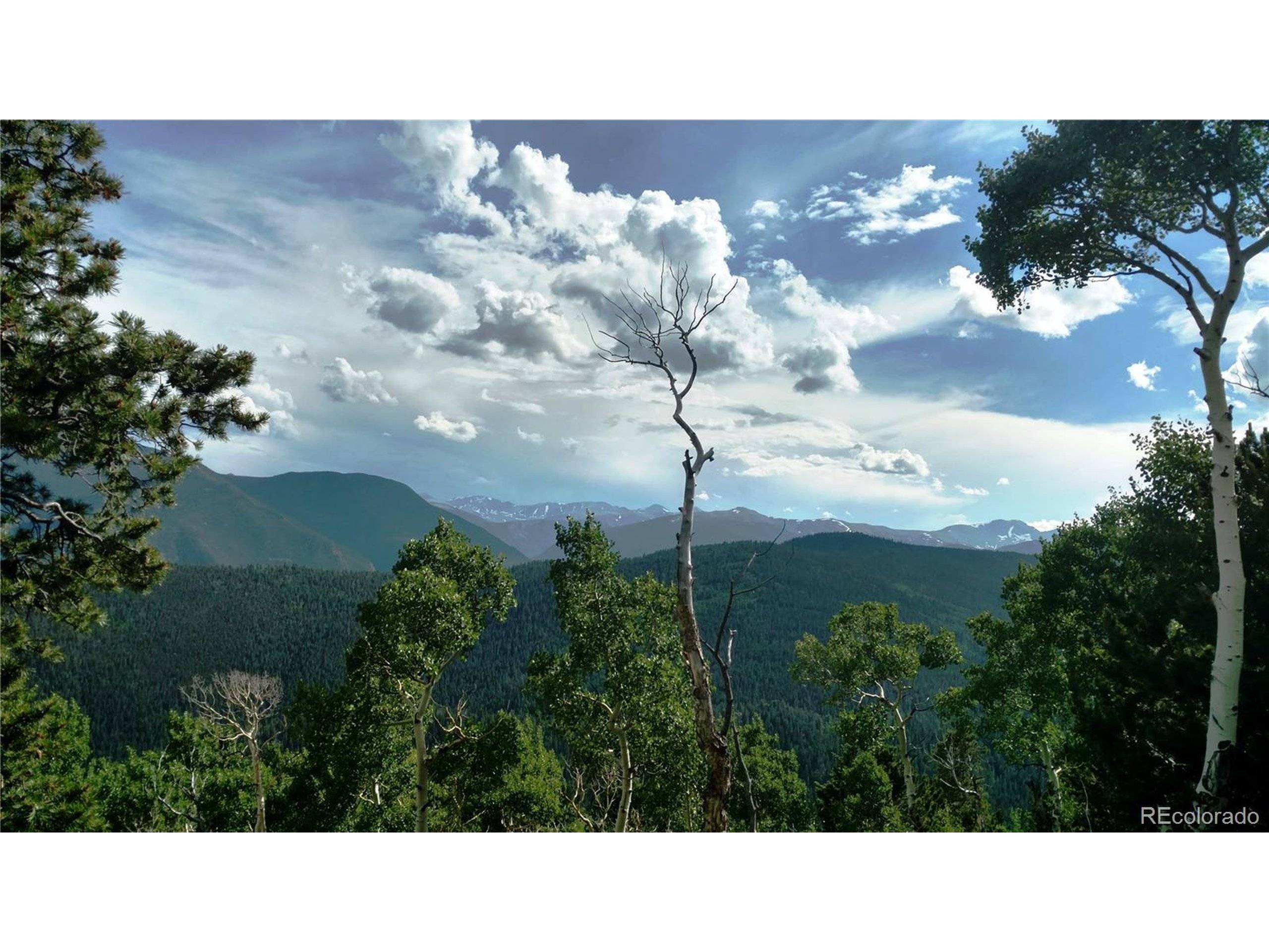 Dumont, CO 80436,Wild Wagoner Trail