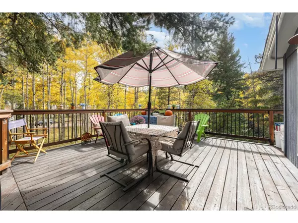 Conifer, CO 80433,8991 Rex Ln