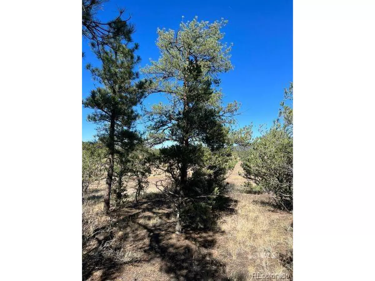 Cotopaxi, CO 81223,823 Harmon Dr