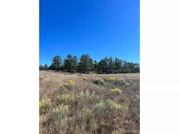 Cotopaxi, CO 81223,823 Harmon Dr