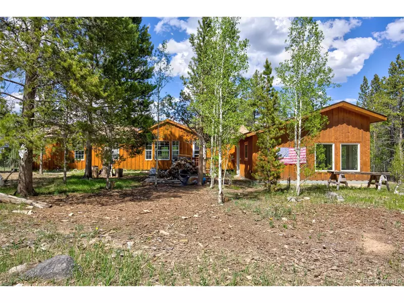 166 Ski Doo Rd, Fairplay, CO 80440