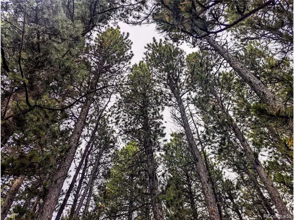 3190 Zipf Ln, Fort Garland, CO 81133