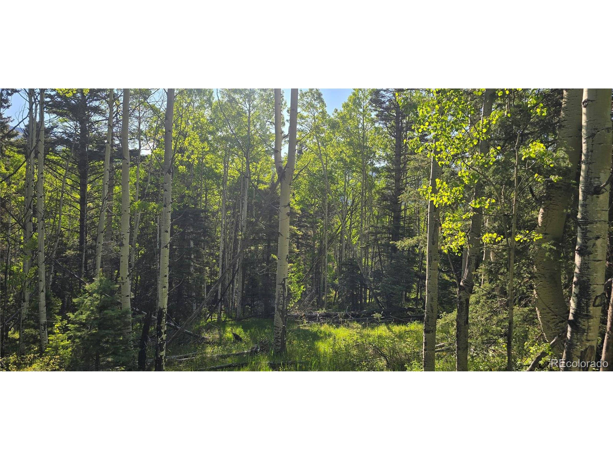 San Luis, CO 81152,6385 Jaquez Rd
