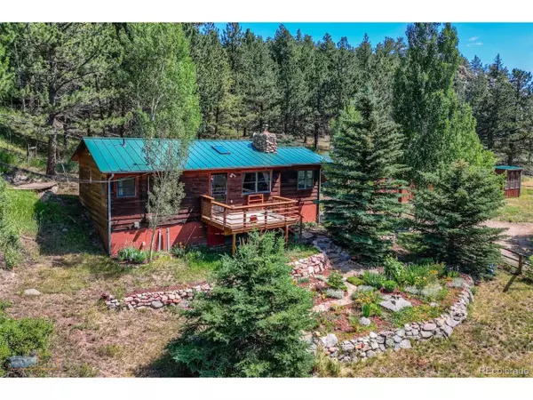 1495 Cold Springs Rd, Nederland, CO 80466