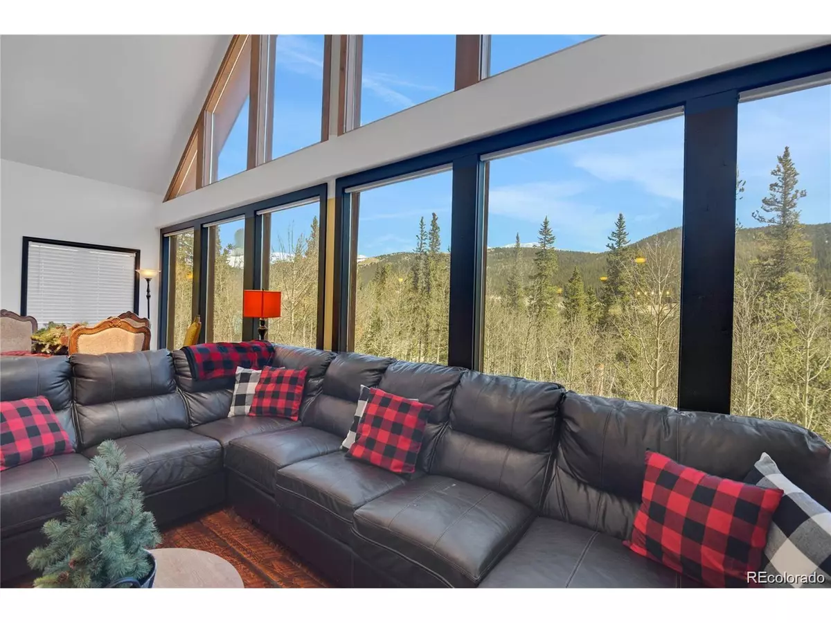 Alma, CO 80420,496 Quartzville Rd