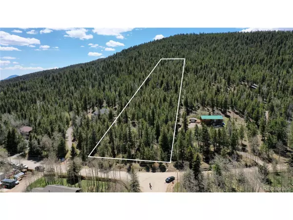 1008 S Pine Dr, Bailey, CO 80421