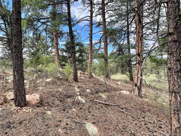 Cotopaxi, CO 81223,139 17th Trl