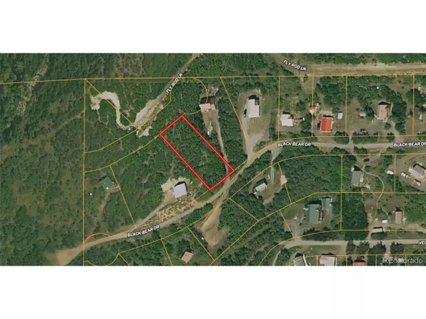 0 Black Bear Dr, Collbran, CO 81624