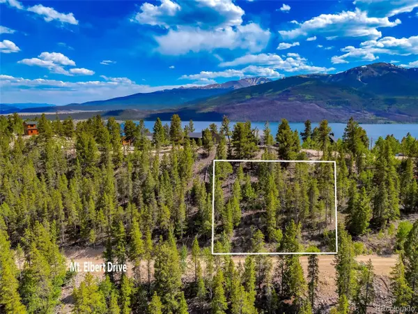 Twin Lakes, CO 81251,198 Mt Elbert Rd