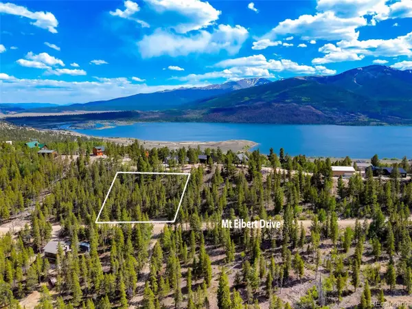 Twin Lakes, CO 81251,198 Mt Elbert Rd