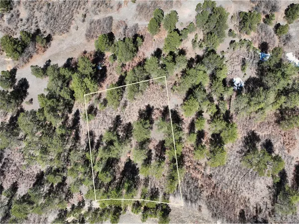 Larkspur, CO 80118,2296 Lupine Cir