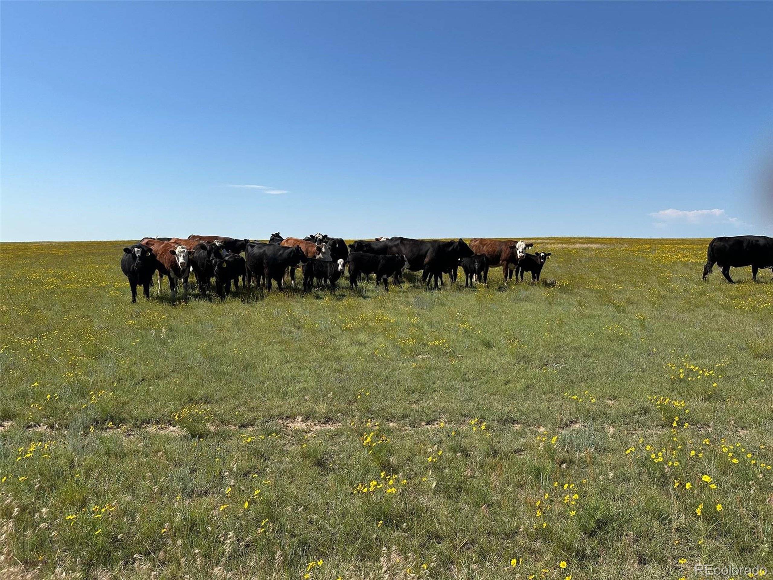 Calhan, CO 80808,35975 Funk Rd