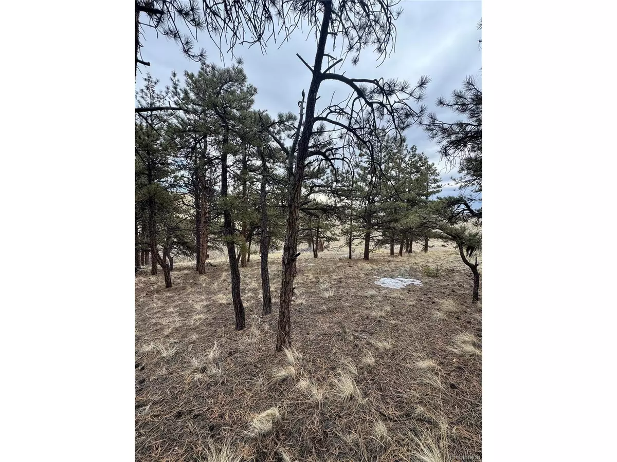 Hartsel, CO 80449,203 Loft Way