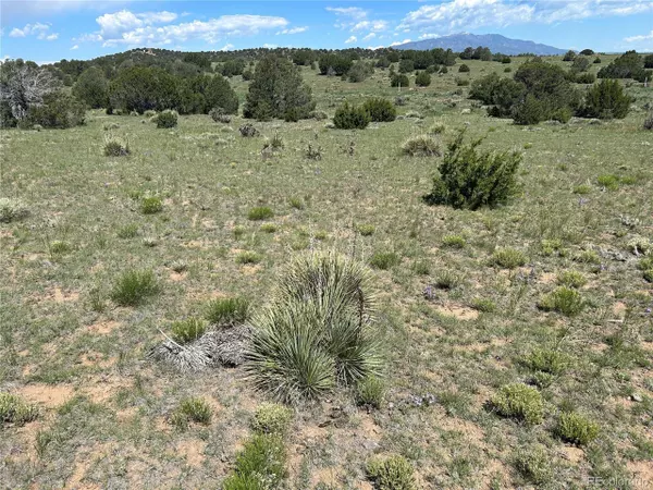 Walsenburg, CO 81089,19 Rio Cucharas Phs 1