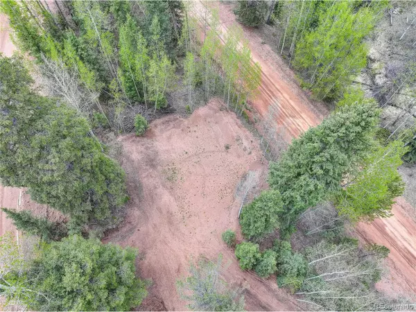 Divide, CO 80814,416 Willow Rd
