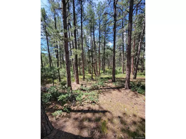 Larkspur, CO 80118,7169 Independence Ct