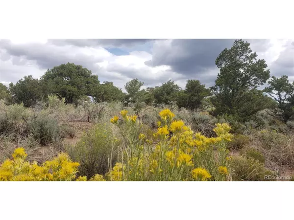 Fort Garland, CO 81133