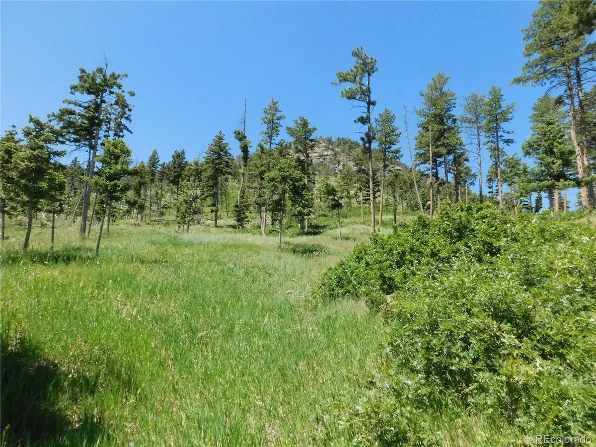 Larkspur, CO 80118,8276 Yuma Cir