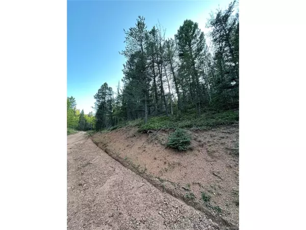 Divide, CO 80814,83 Sodalite Rd