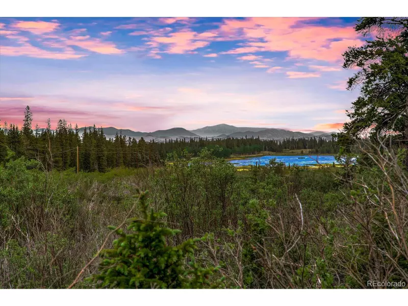 2715 County Road 14a, Alma, CO 80420