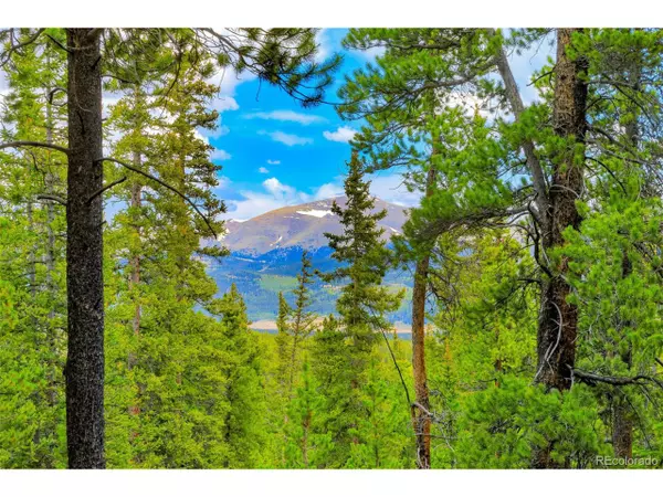 0 Dry Gulch, Fairplay, CO 80440