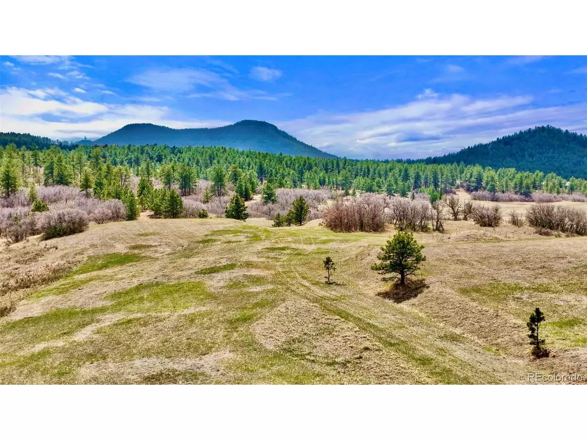 Larkspur, CO 80118,2 S Perry Park Rd