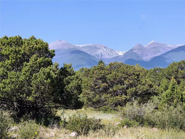 Cotopaxi, CO 81223,781 Ridgeway Rd