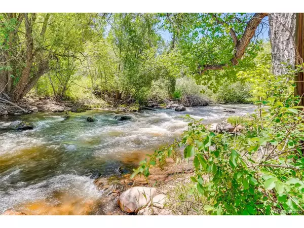Idledale, CO 80453,21988 Miller Ln