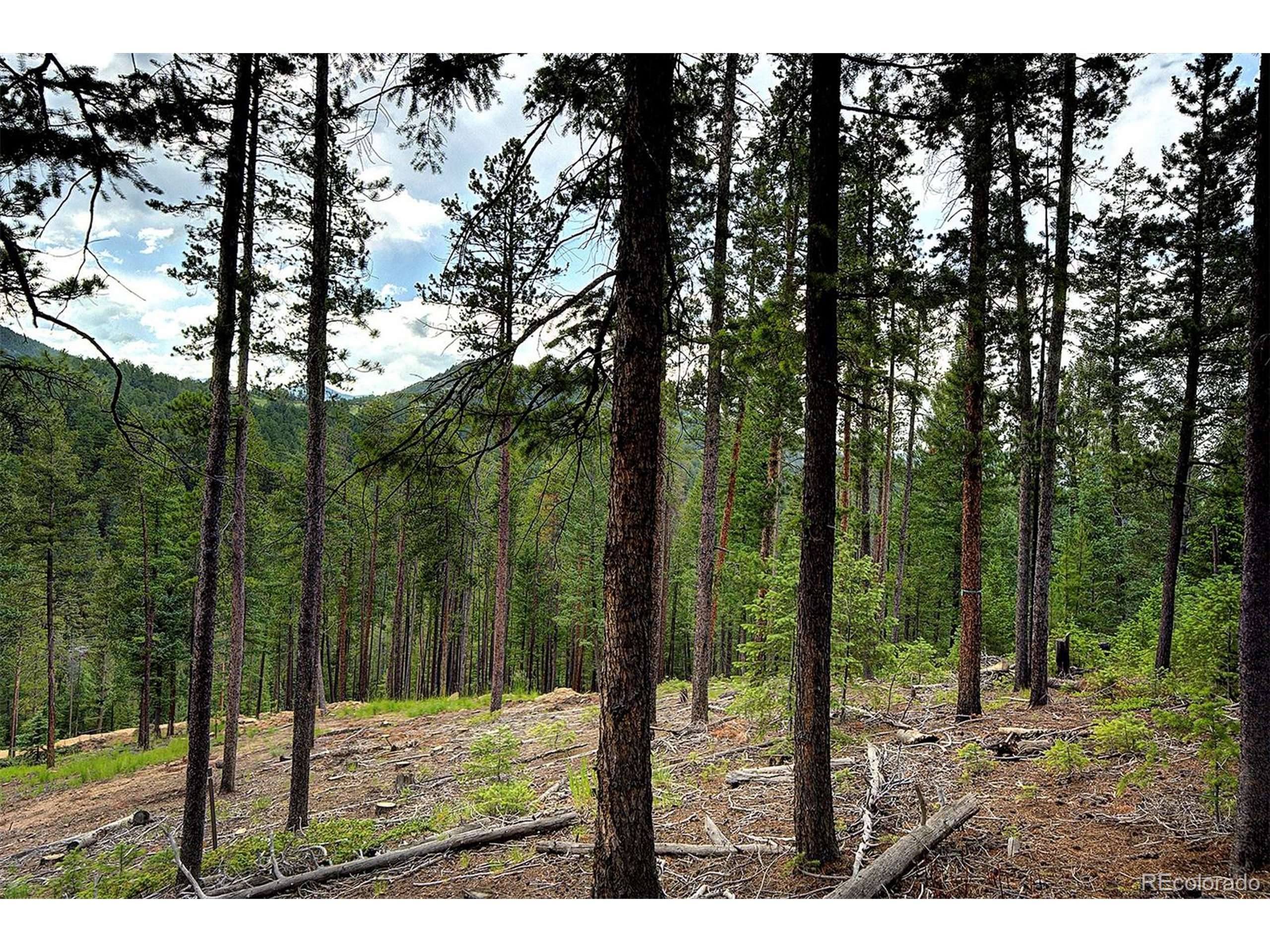 Evergreen, CO 80439,6874 Lynx Lair Rd