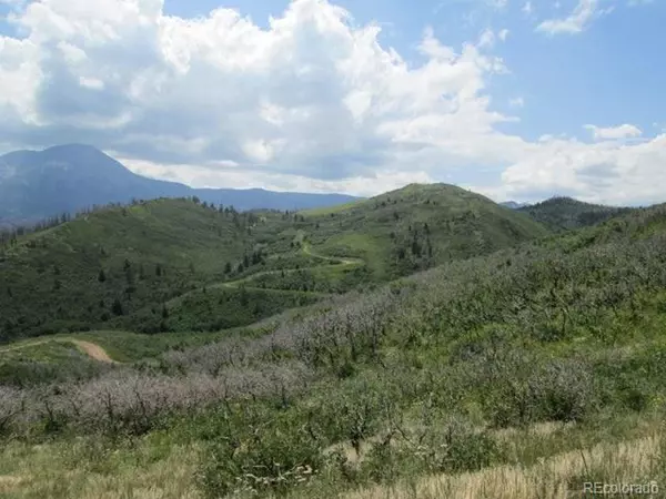 La Veta, CO 81055,32 Raspberry Mountain Ranch