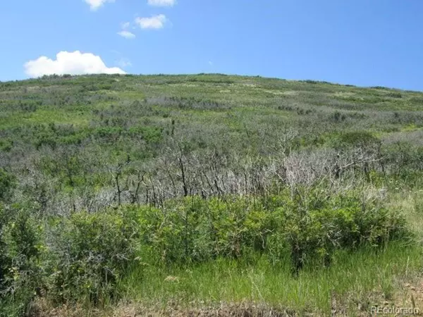 La Veta, CO 81055,32 Raspberry Mountain Ranch