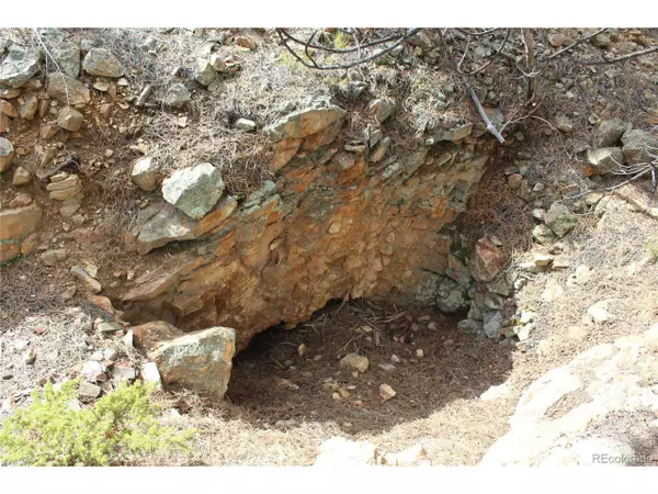 Central City, CO 80427,0 Golconda mine Rd