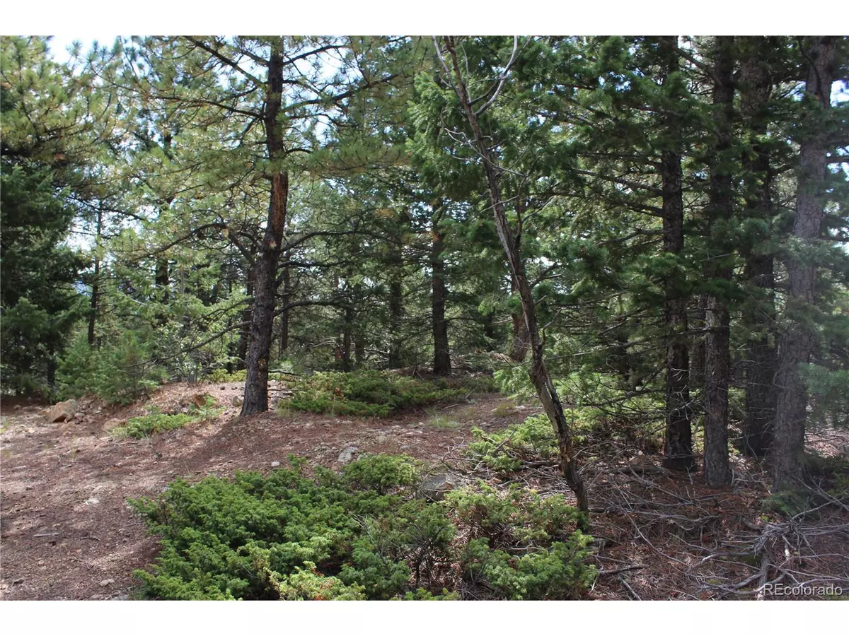 Central City, CO 80427,0 Golconda mine Rd